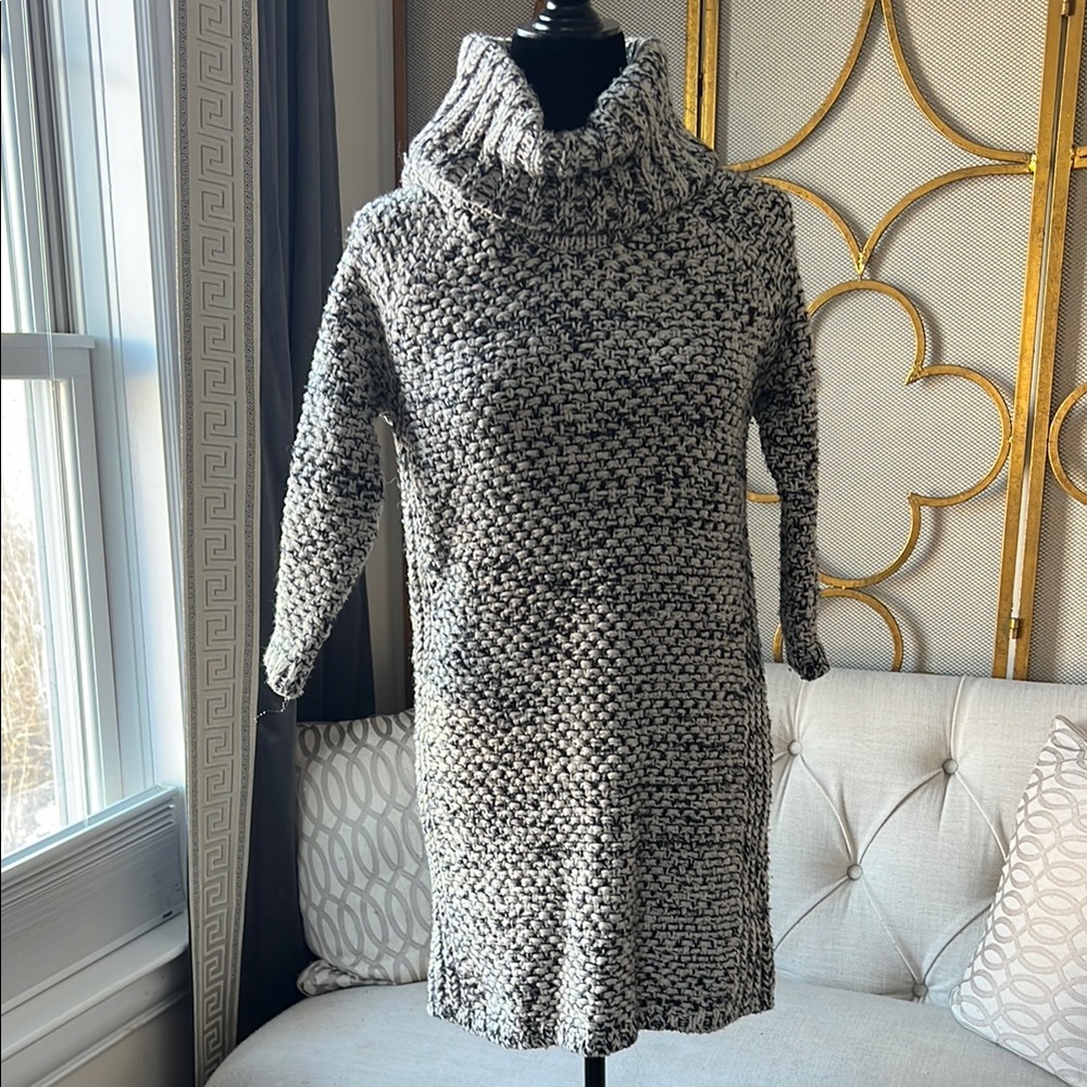 Banana Republic Black and White Long Sleeve Dress